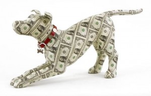 justine-smith-washington-money-dog